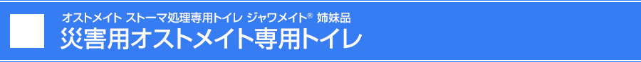 [IXgCg̃Xg[}pgCV[Y] IXgCgpgC WCg®oi ЊQpIXgCgpgC
